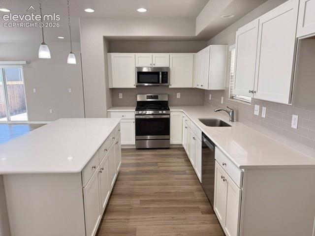 Kitchen featuring an expansive island, white cabinetry, light countertops, wood-finish flooring, and stainless steel appliances