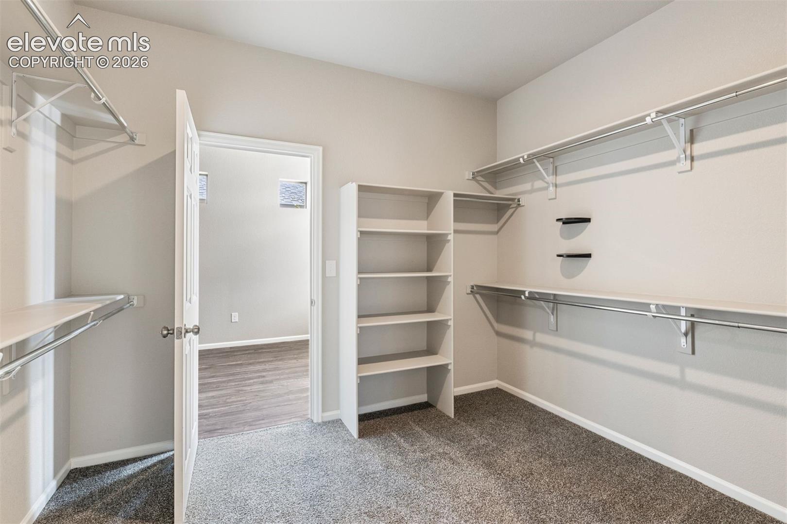 Photo 13 of 6778 Golden Briar Lane, Colorado Springs