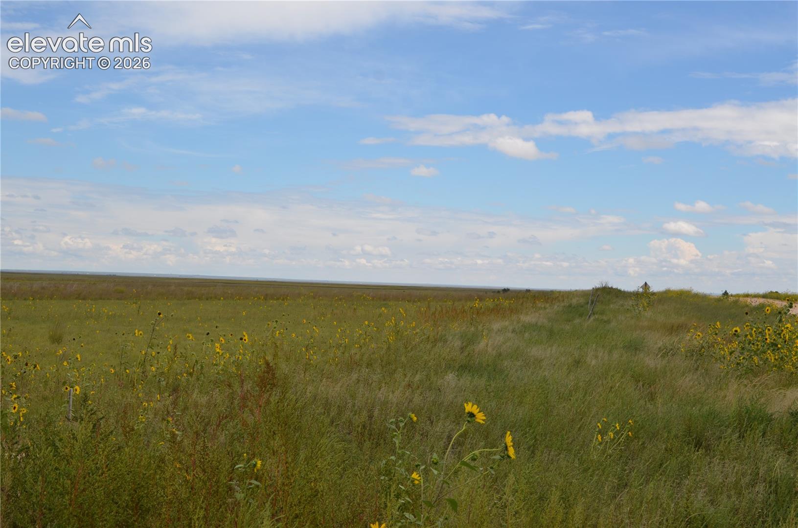 Expansive acreage featuring native grasses, wild sunflowers, and horizon-spanning terrain