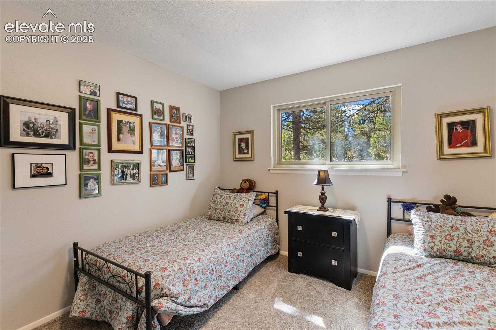 Neutral-toned walls complement a carpeted floor