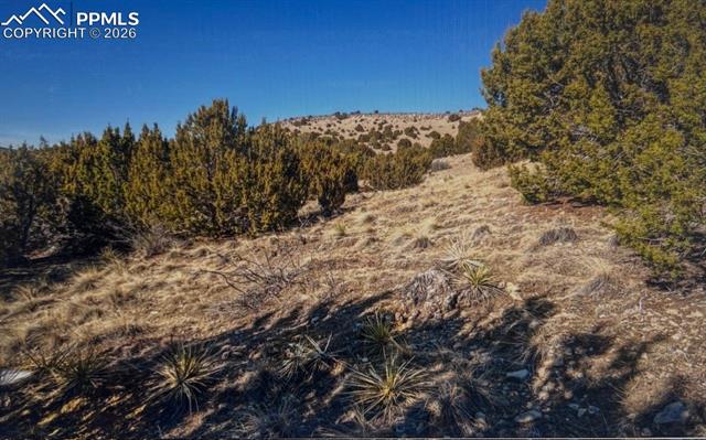 Photo 16 of LOT 73 Cedar Grove Road, Beulah