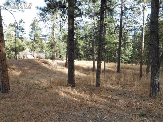 Photo 29 of 8055 Acoma Drive, Larkspur