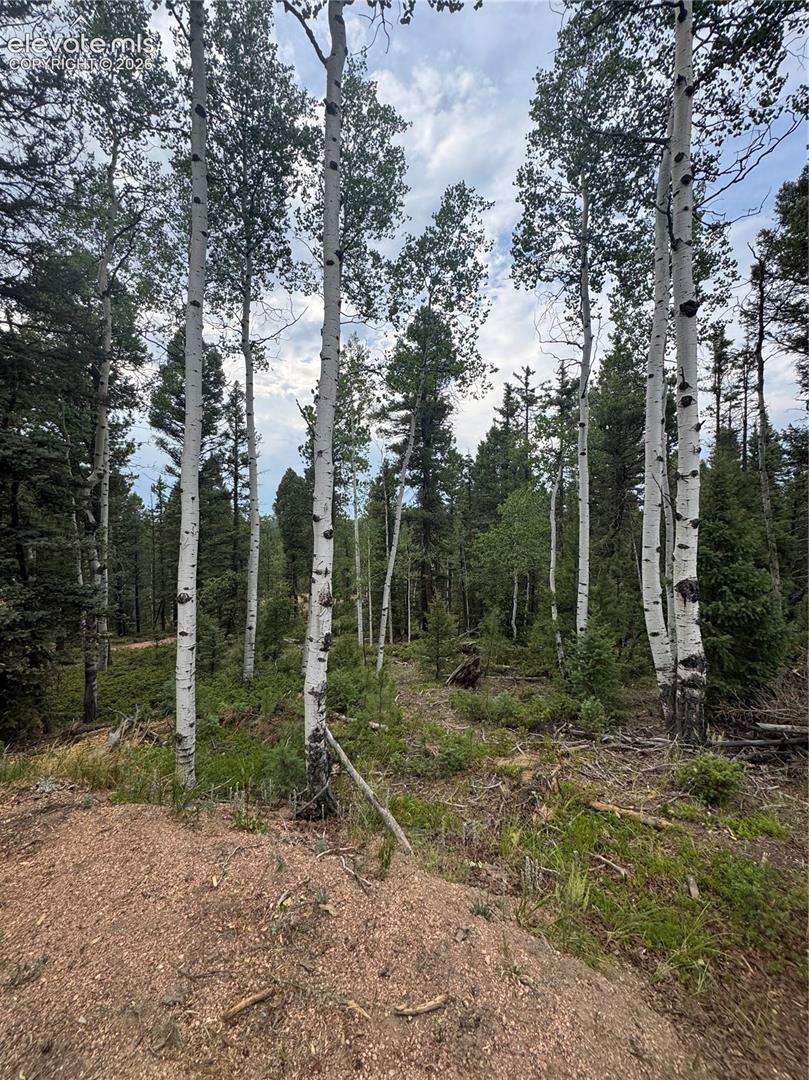 111 Elk Creek Dr, Divide, CO 80814