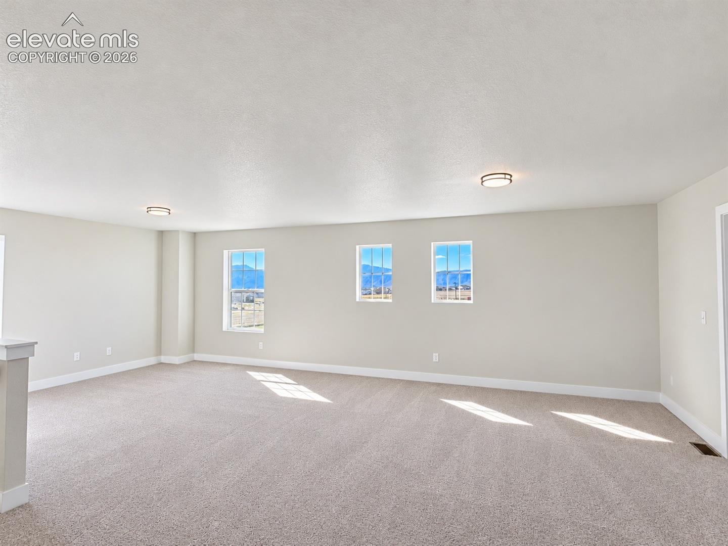 Expansive room featuring light-colored carpeting, multiple windows, and two flush-mount ceiling lights
