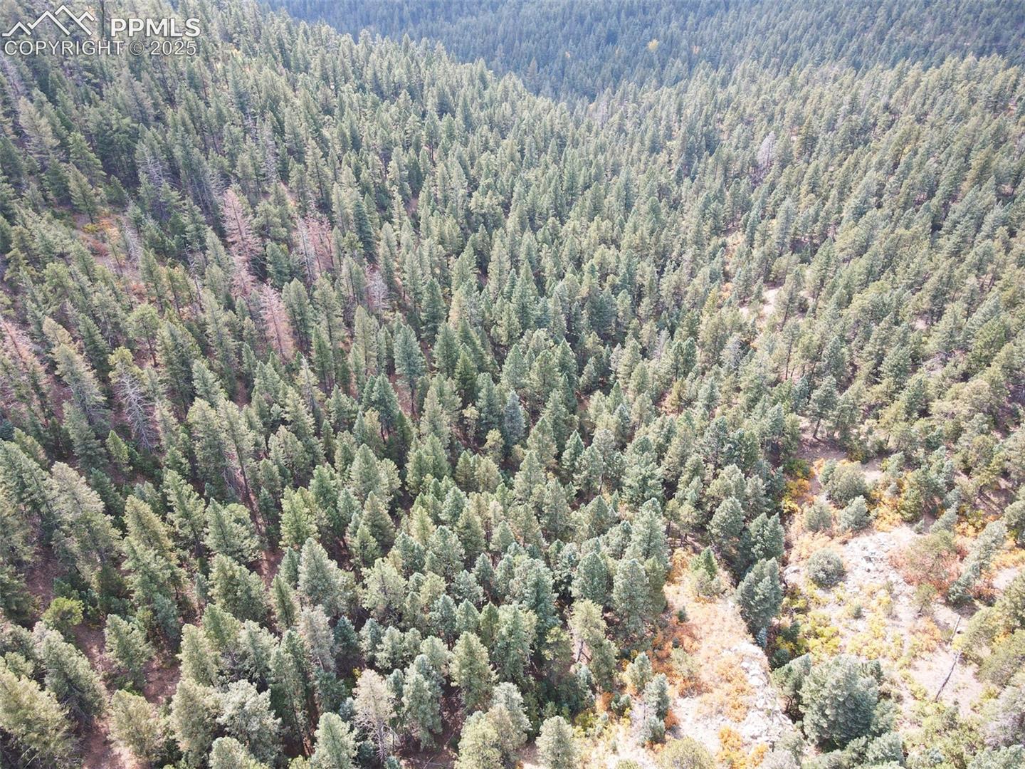 Photo 30 of 4950 Little Turkey Creek Road, Colorado Springs