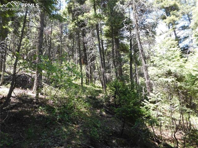 Photo 16 of 13175 Spruce Creek Circle, Larkspur