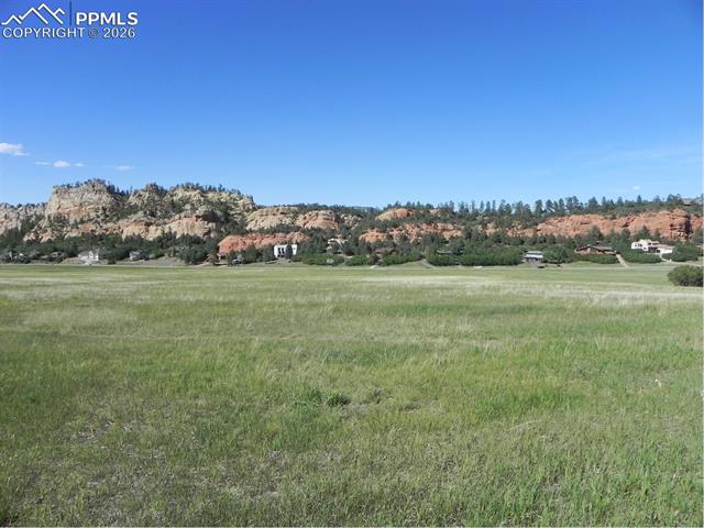 View form lot
