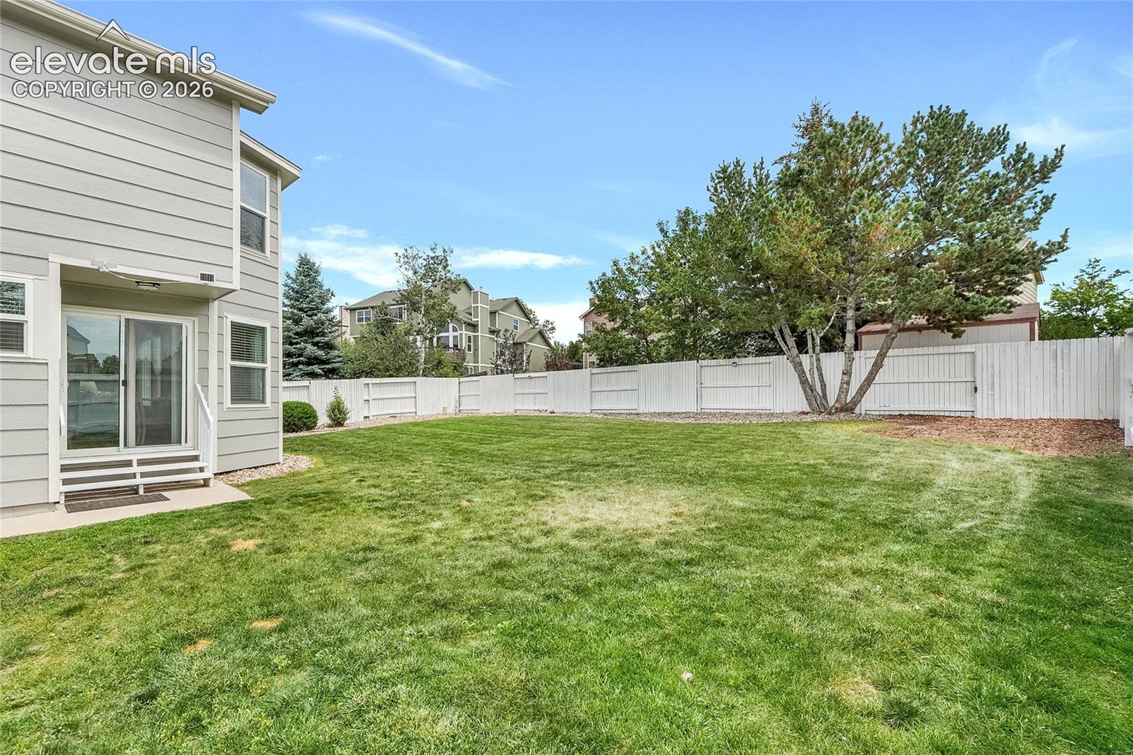 Back Yard with Newer Grass