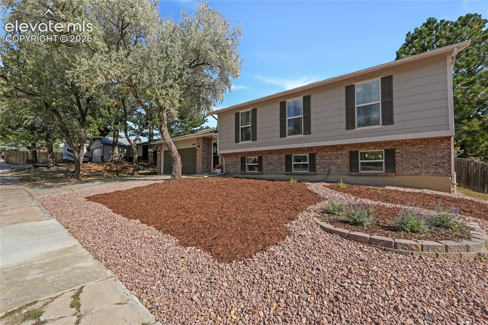 New front lawn 
