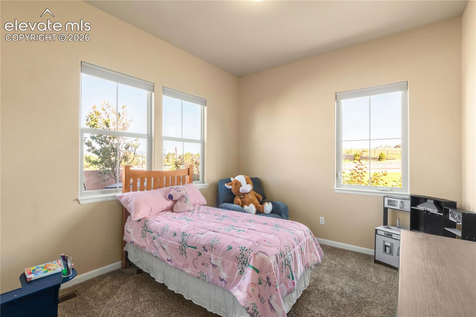 2nd Bedroom on Main floor
