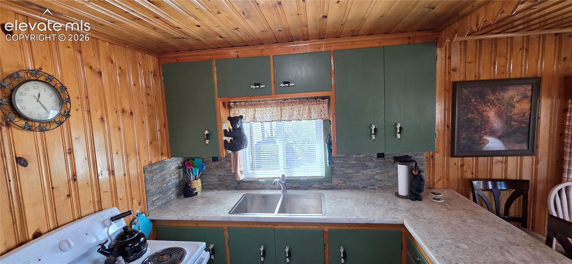 Wood-paneled walls and ceiling, green cabinetry, laminate countertops, and a stainless steel double-basin sink