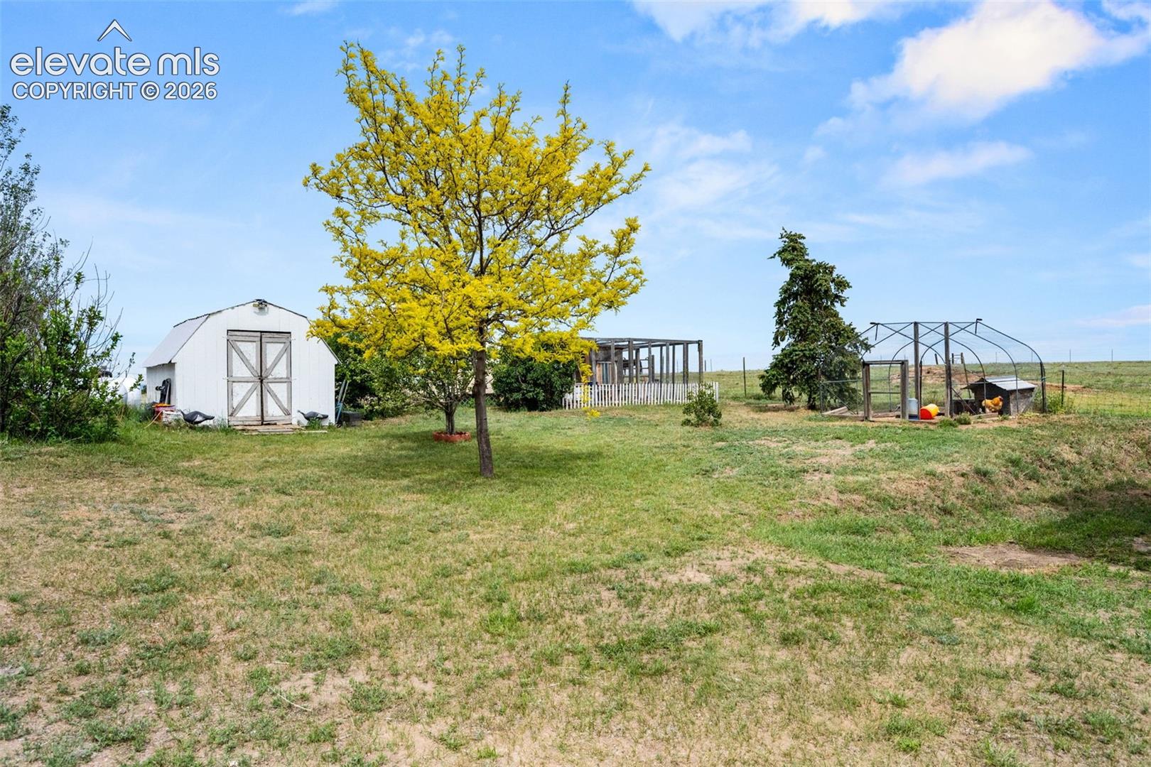 Expansive yard featuring a white storage shed with double barn doors, mature trees, and a framed enclosure