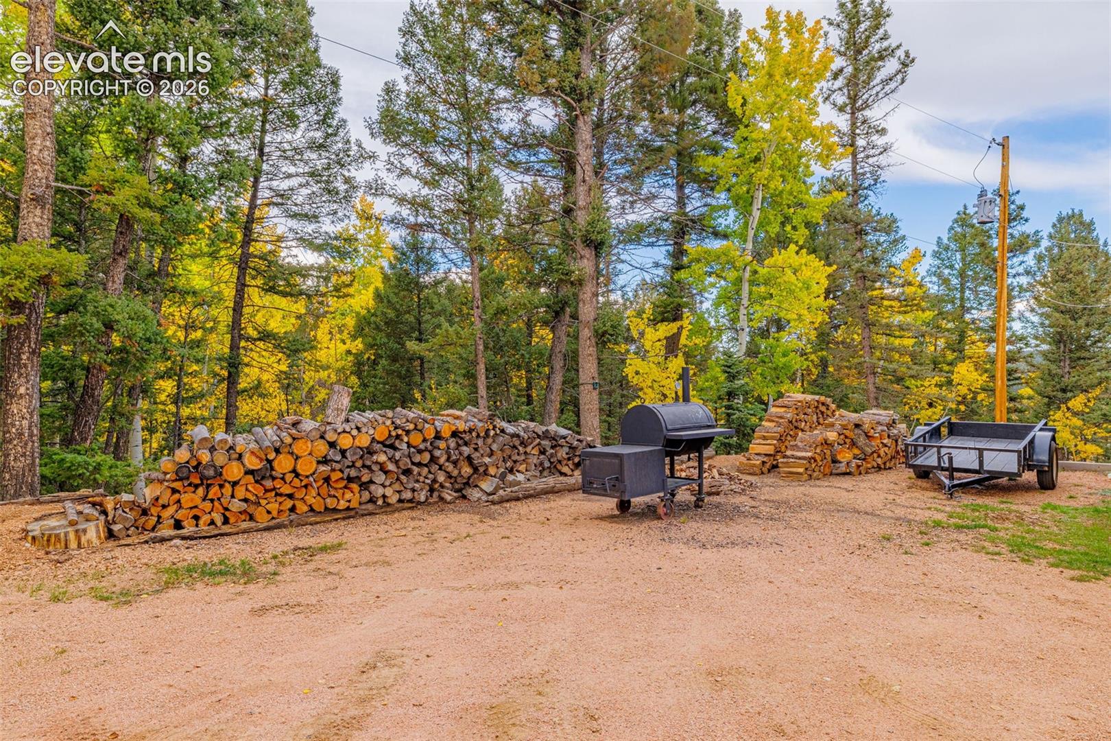 Expansive outdoor grounds featuring mature evergreen and deciduous trees