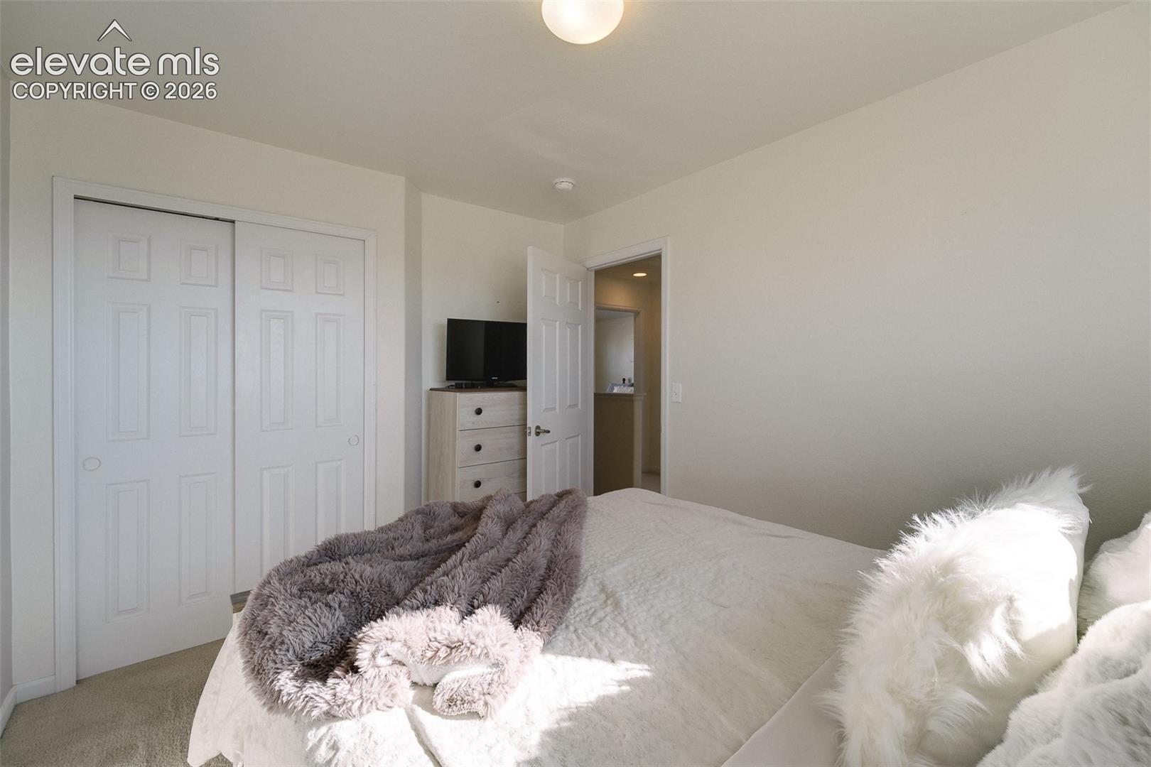 Recessed ceiling light, neutral wall colors, carpeted flooring, and a six-panel sliding closet door