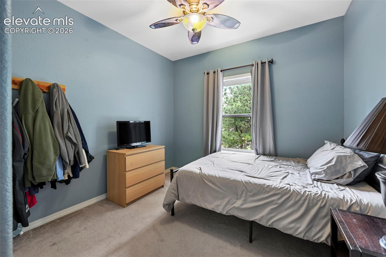 Carpeted room with a ceiling fan, a window, and light blue walls