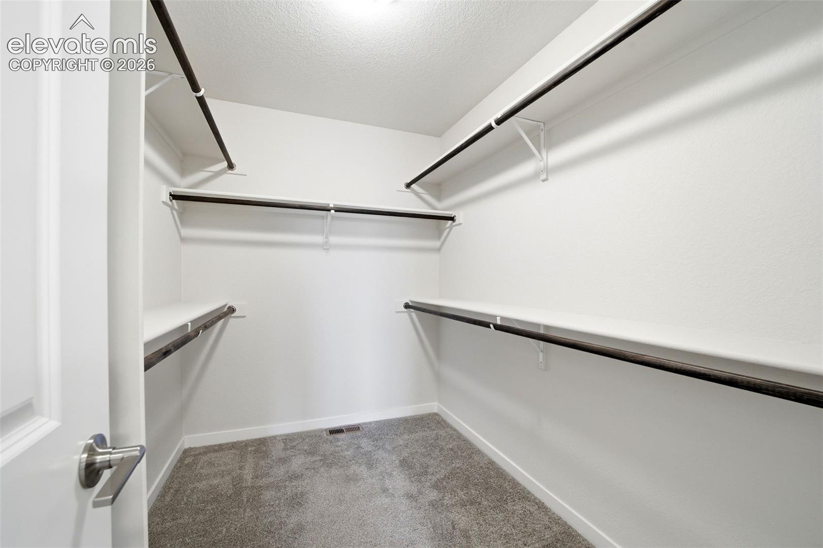 Walk-in closet with carpet flooring, multiple shelving units, and clothing rods