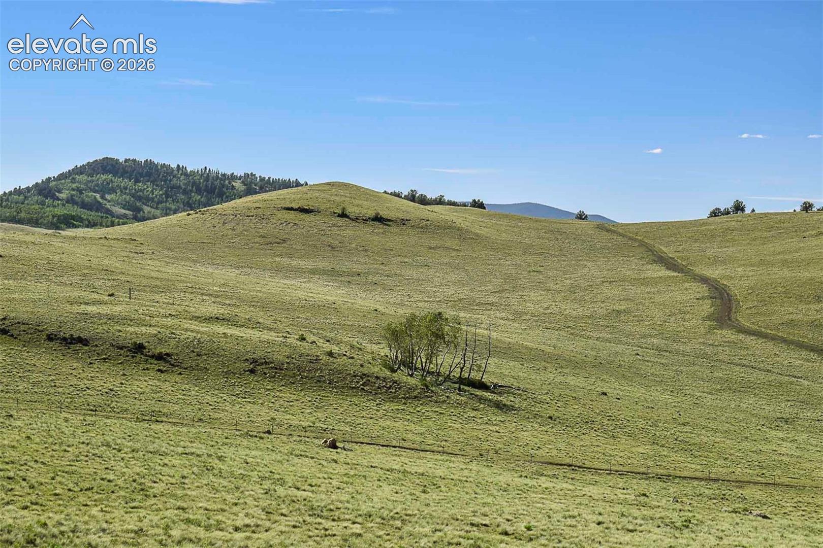 00 Bear Cat Rd, Guffey, CO 80820