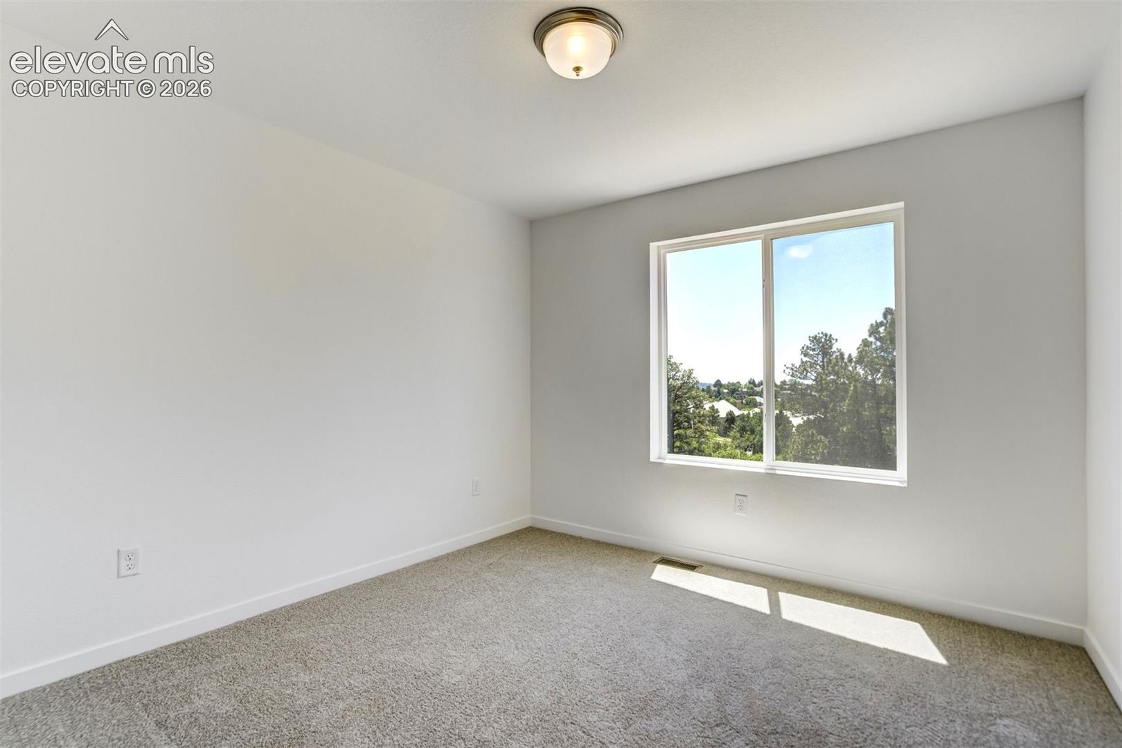 Neutral interior featuring wall-to-wall carpeting, a flush-mount ceiling light fixture, and a large sliding window with exterior tree scenery