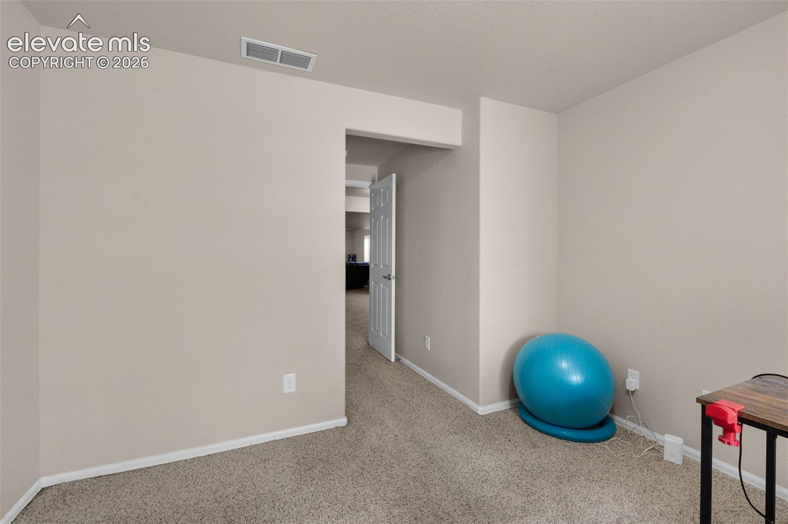 Bedroom #4, Basement, Closet is near door. 