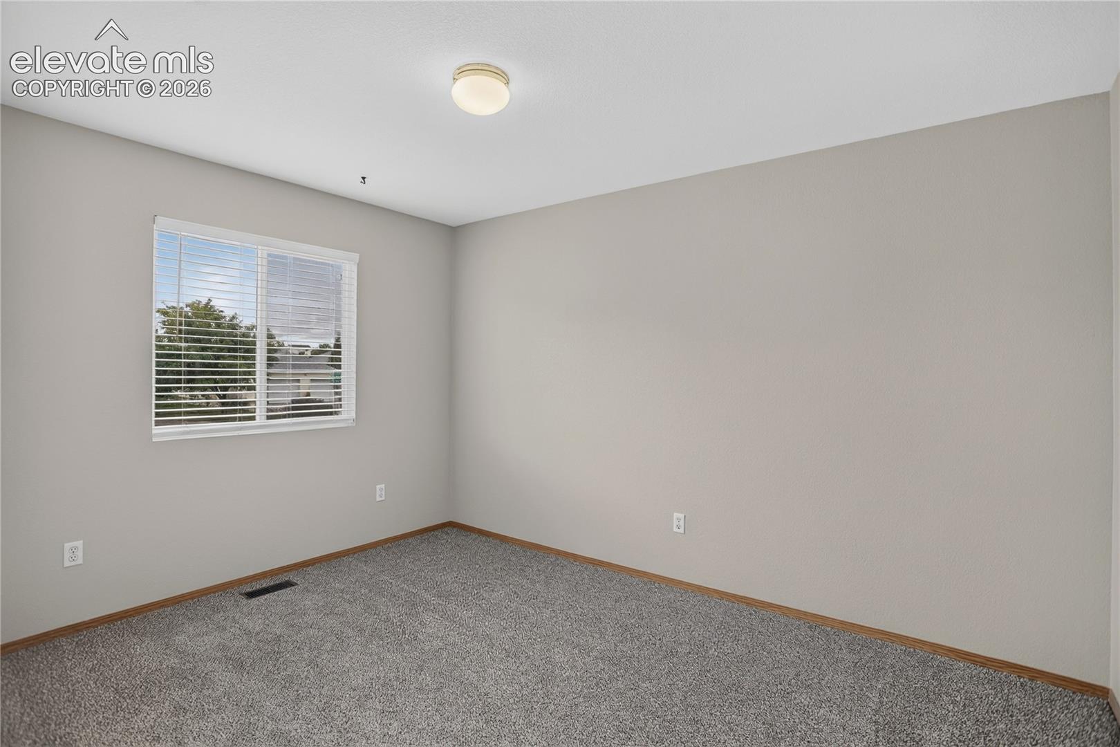 Wall-to-wall carpeting, neutral wall color, and a window with horizontal blinds