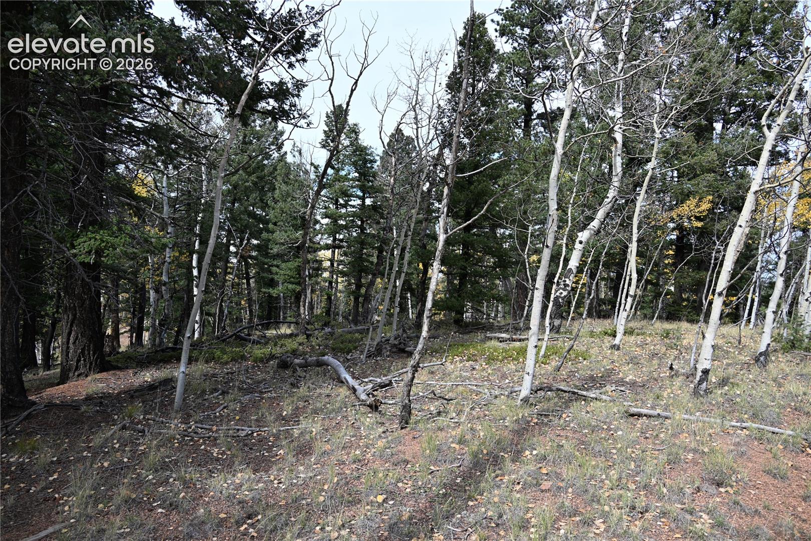 Photo 11 of 1020 Princess Road, Cripple Creek