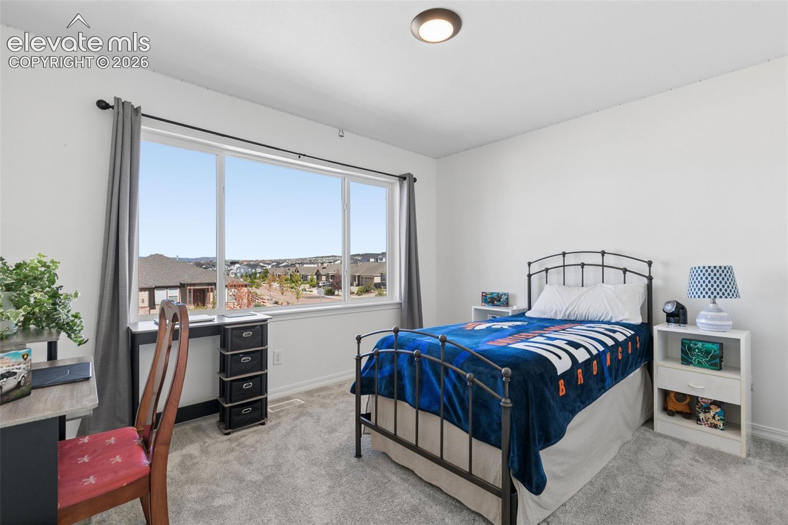 Light gray carpeting, white walls, and a large window with white trim