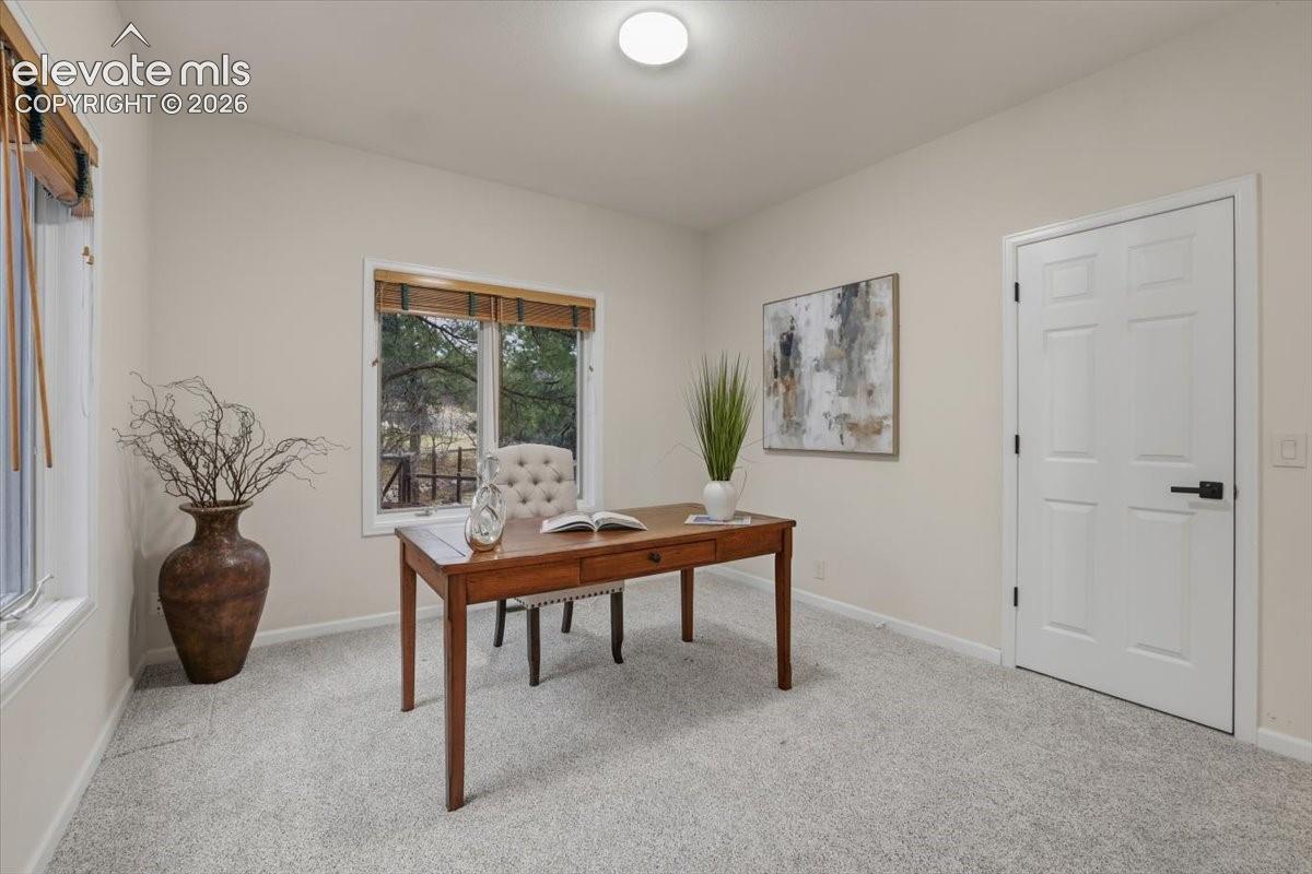 Multiple windows provide natural light, and walk-in closet