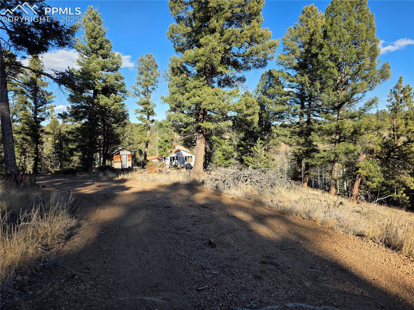 Photo 19 of 1434 Blue Mesa Drive, Divide
