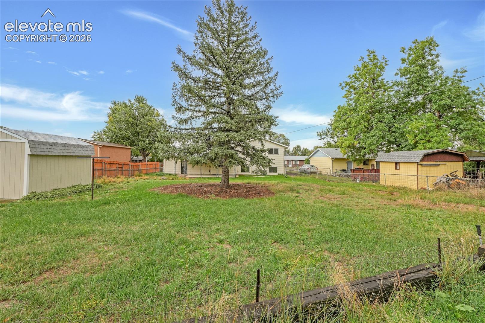 Expansive grassy yard featuring a large evergreen tree and two sheds with shingle roofs