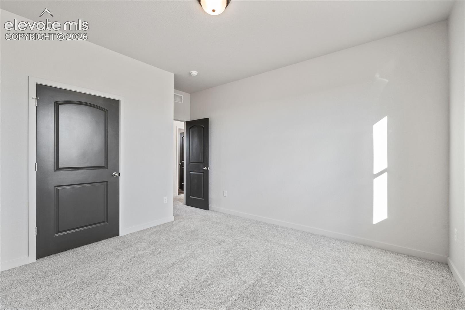 Light gray carpeting, white walls, and dark interior doors