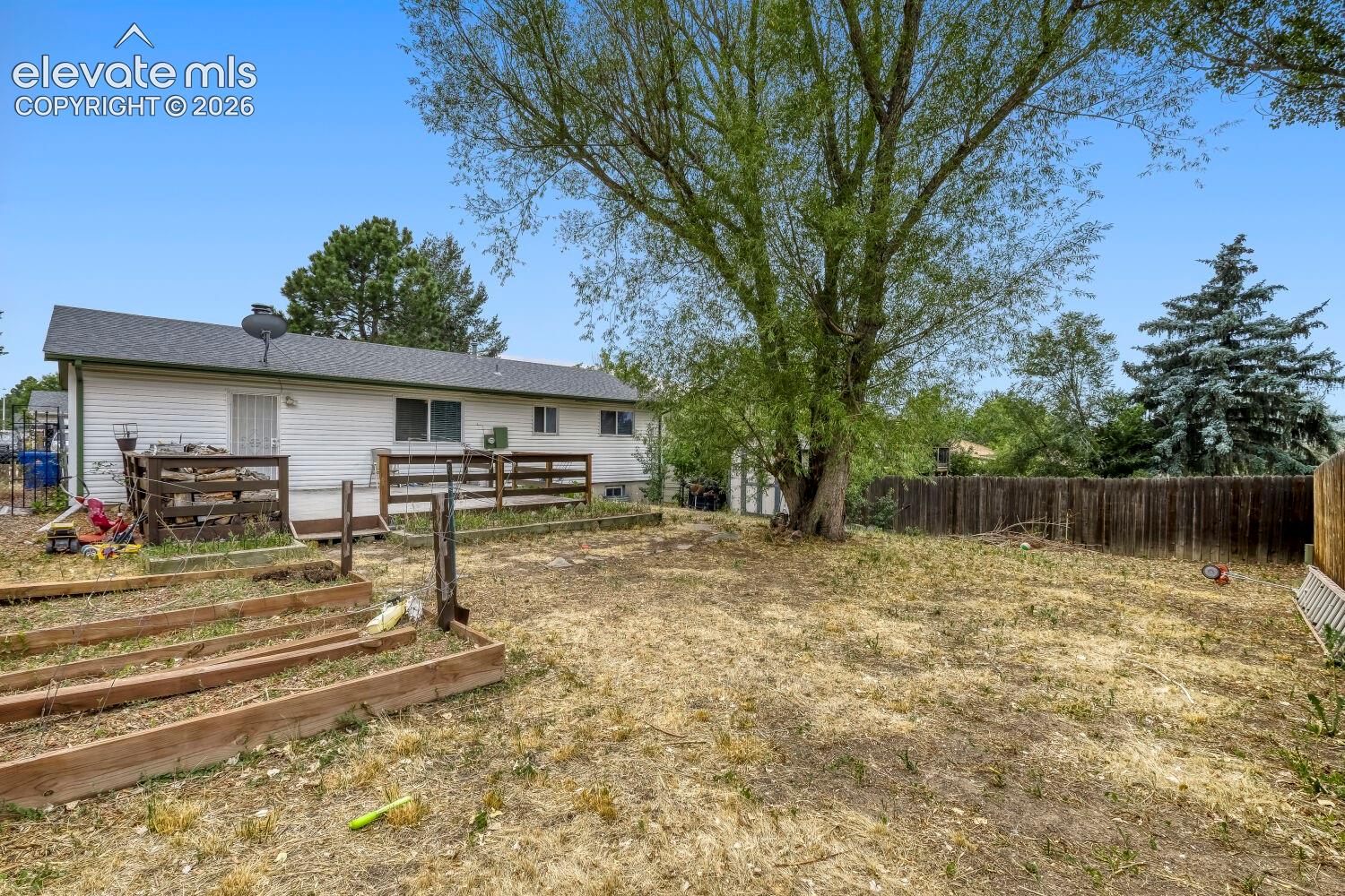 Expansive backyard with a large mature tree, wood fencing, and raised garden beds