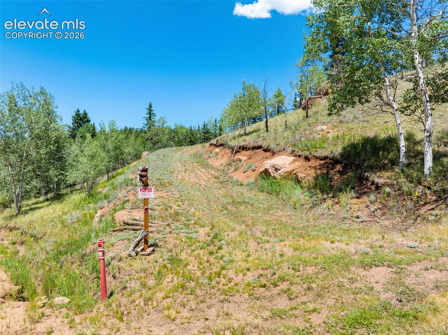 404 Morning Star Creek Trl, Florissant, CO 80816