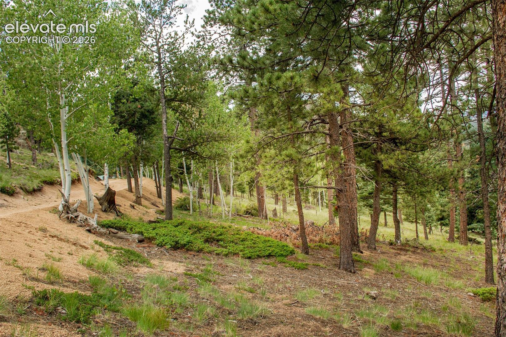 Photo 19 of 266 Aspen Ridge Road, Manitou Springs