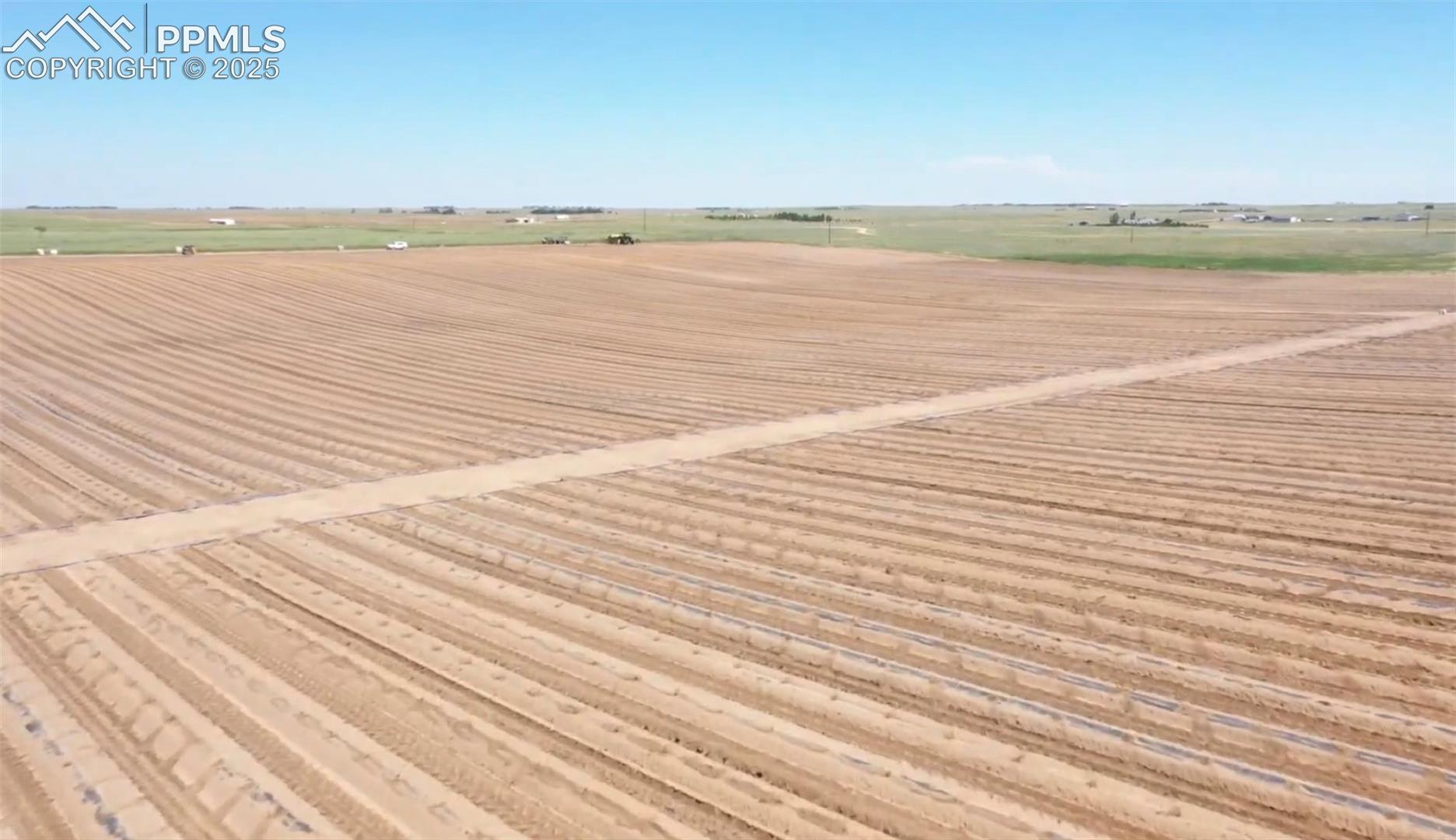 Fields when in production
