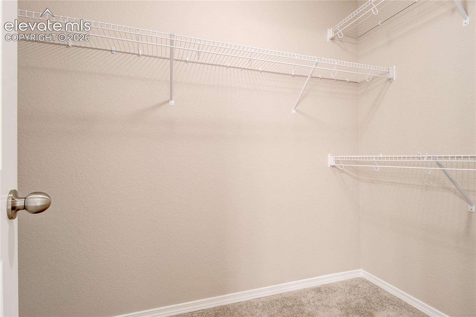 Photo 20 of 10387 Rockery Street, Colorado Springs