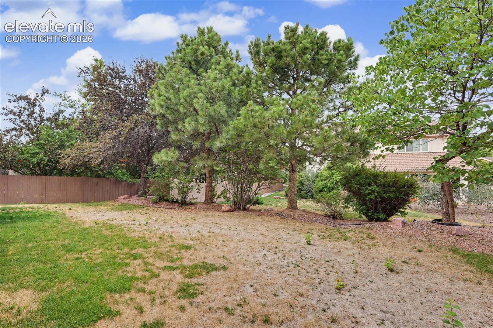 Expansive backyard featuring a brown privacy fence, mature trees, and landscaping elements