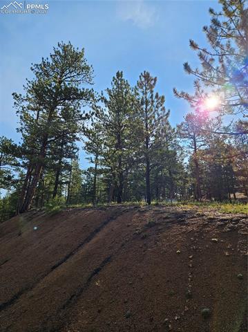 1117 Appleby Dr, Sedalia, CO 80135