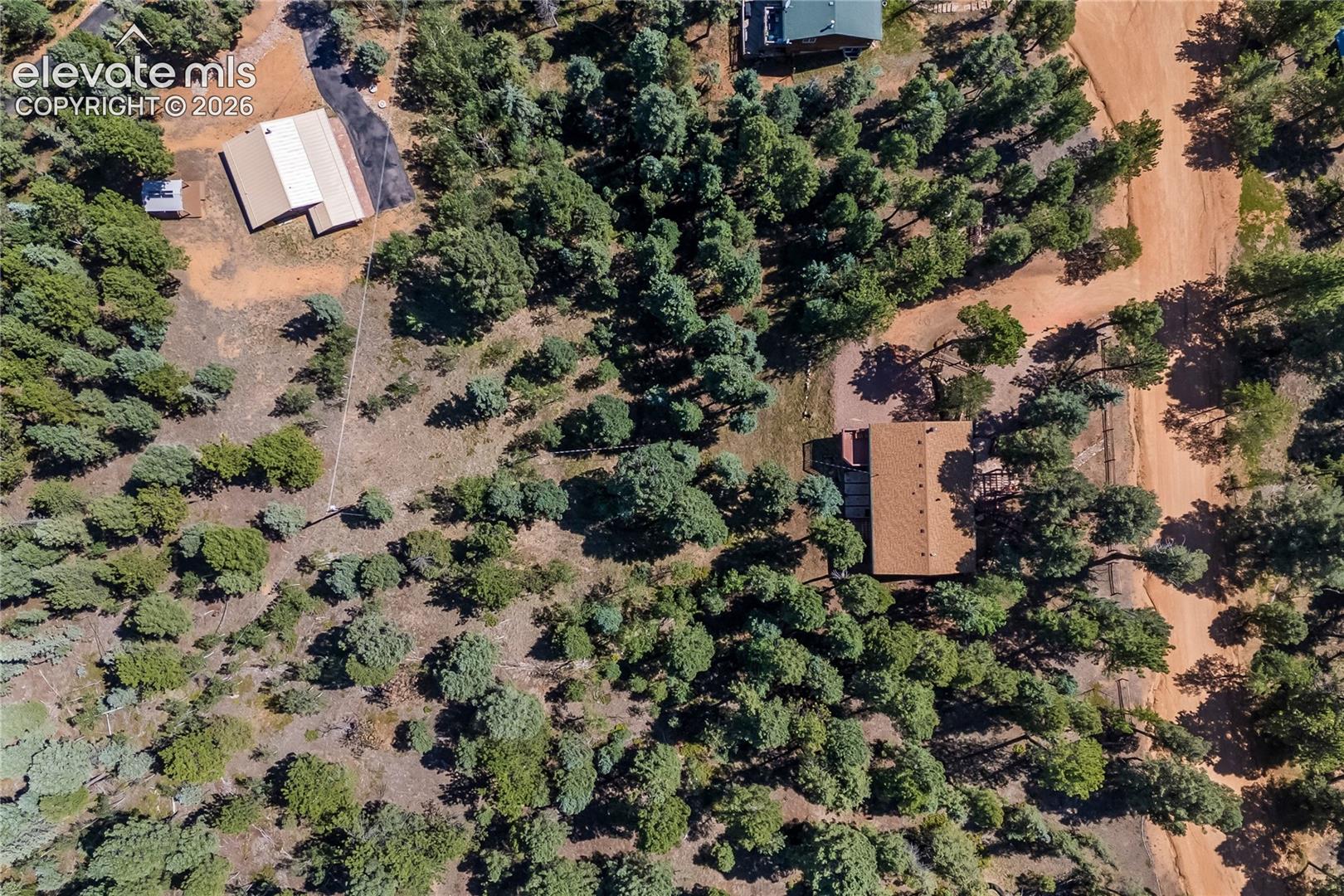 101 Heather Cir, Divide, CO 80814
