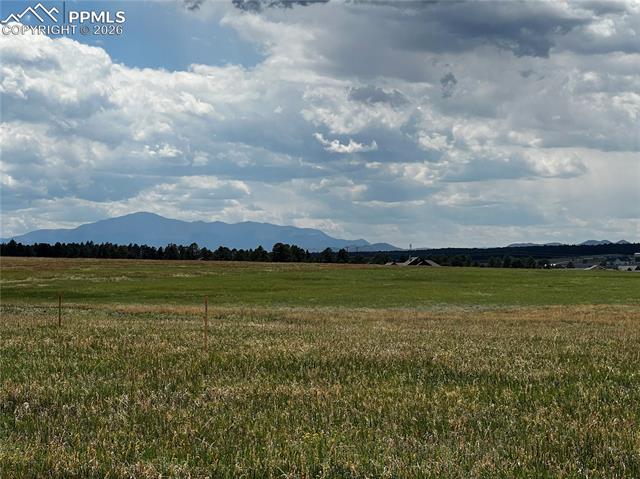 Photo 15 of 16990 Early Light Drive, Colorado Springs