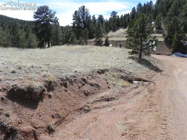 Photo 8 of 1087 Monarch Drive, Cripple Creek