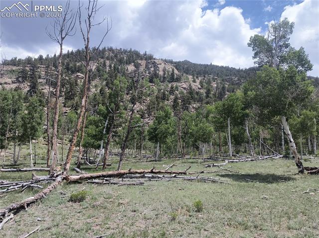 View of mountain backdrop featuring a forest