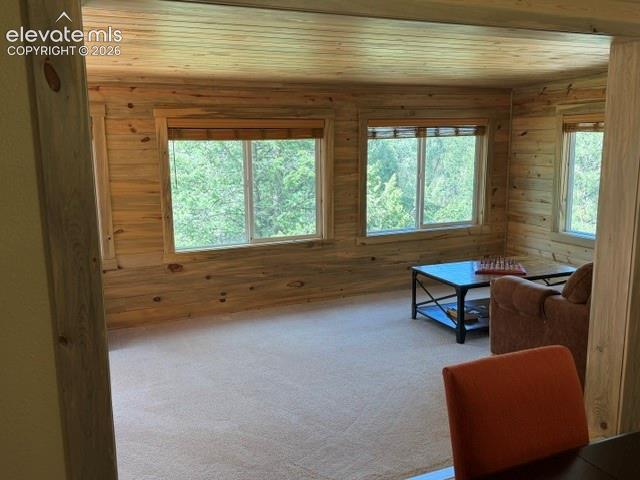 Photo 34 of 269 Southpark Road, Florissant
