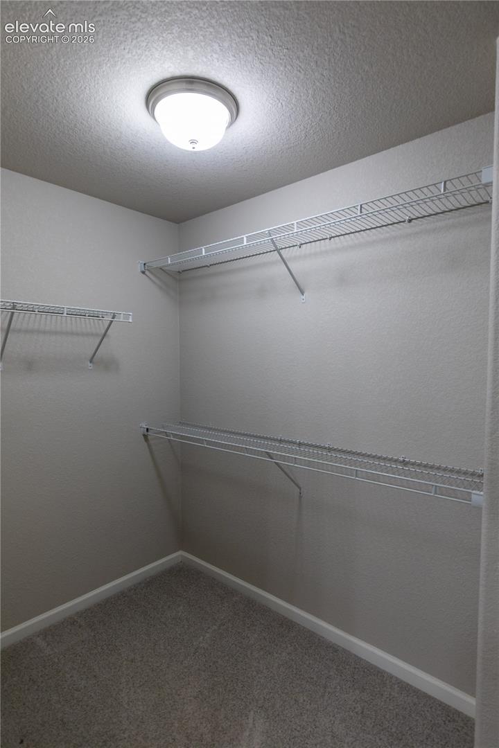 Storage space featuring wall-mounted wire shelving, wall-to-wall carpeting, and a flush-mount ceiling light fixture