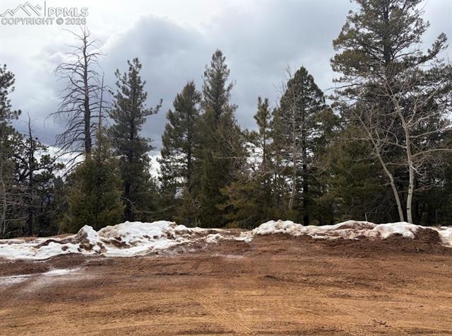 84 Point View Cir, Florissant, CO 80816