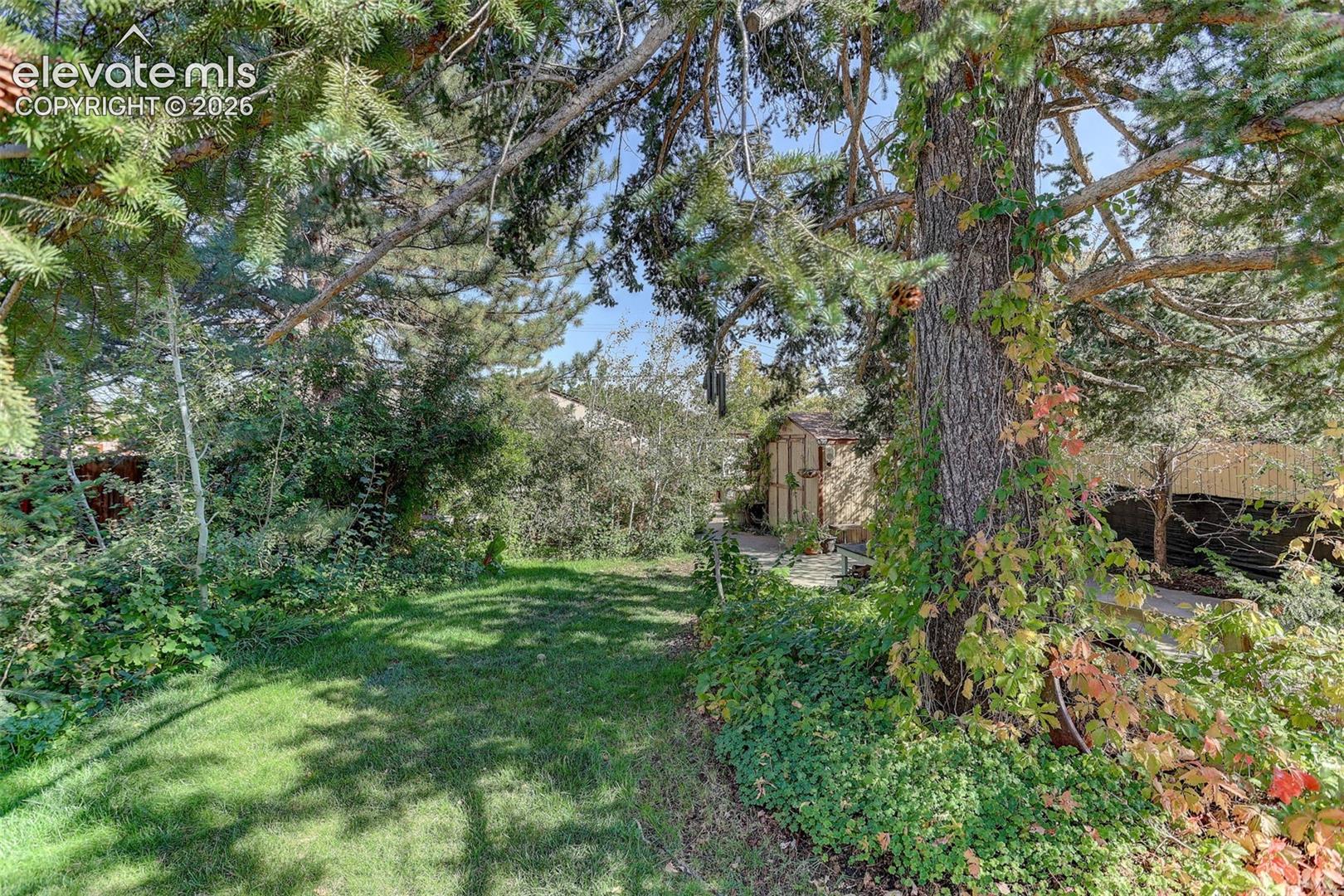 Expansive yard featuring mature trees, manicured lawn, and lush landscaping
