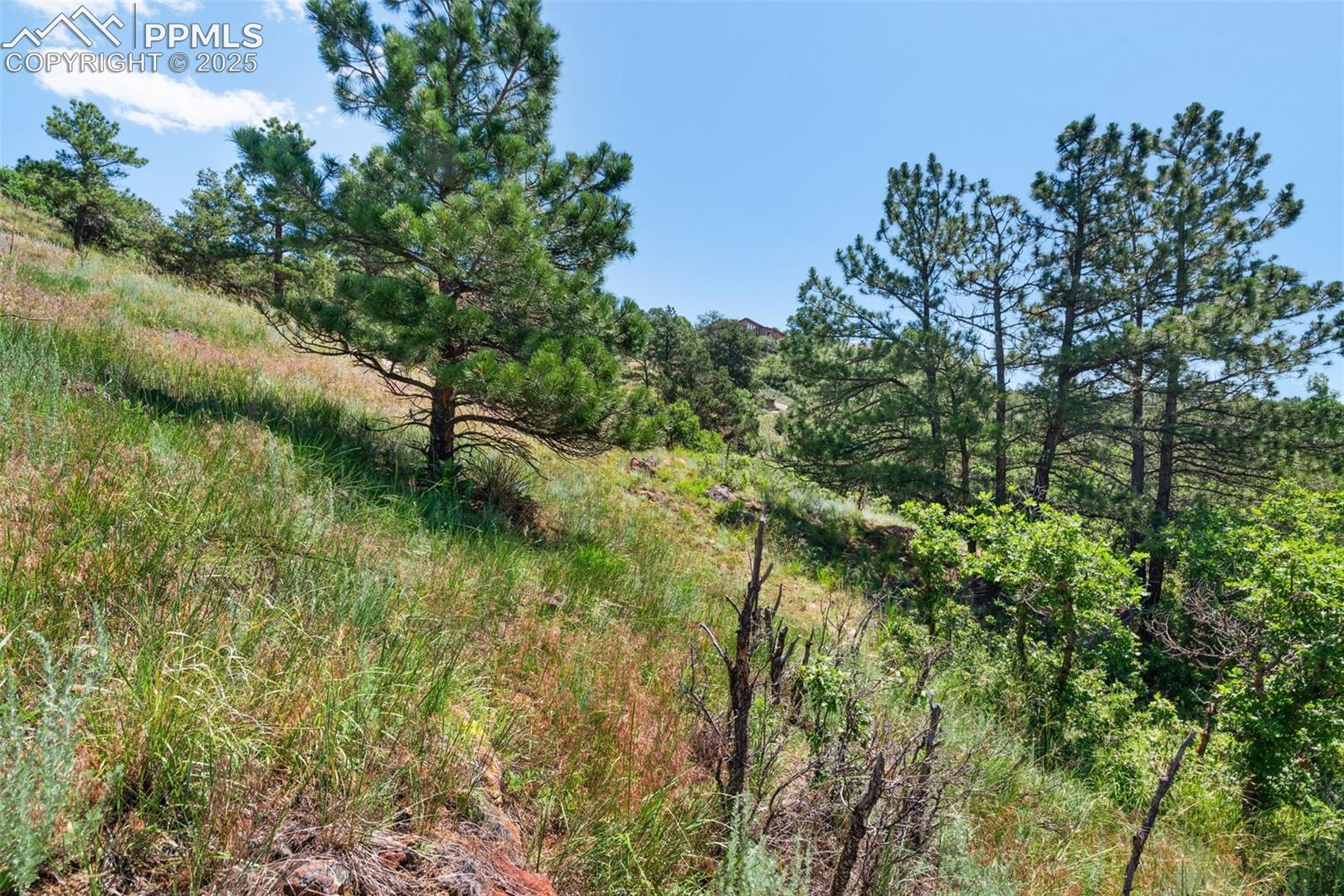 Photo 8 of 7137 Oak Valley Drive, Colorado Springs