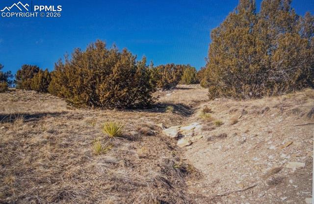 LOT 73 Cedar Grove Rd, Beulah, CO 81023