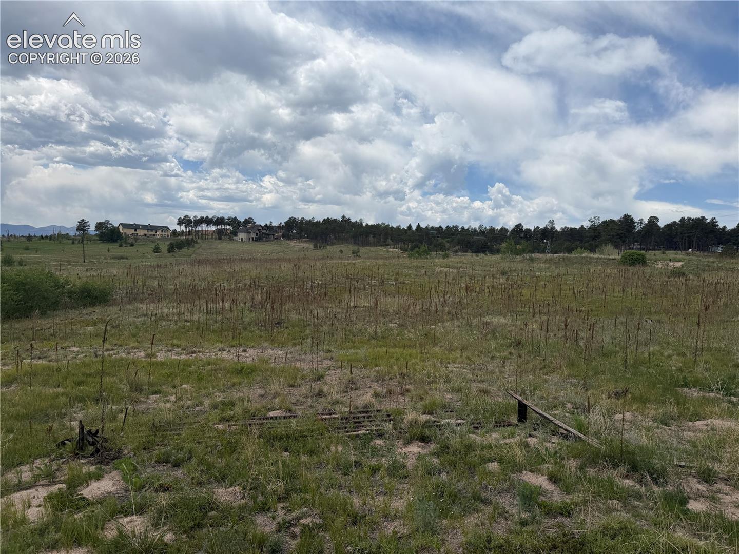 Photo 6 of 13810 Wildoak Drive, Black Forest