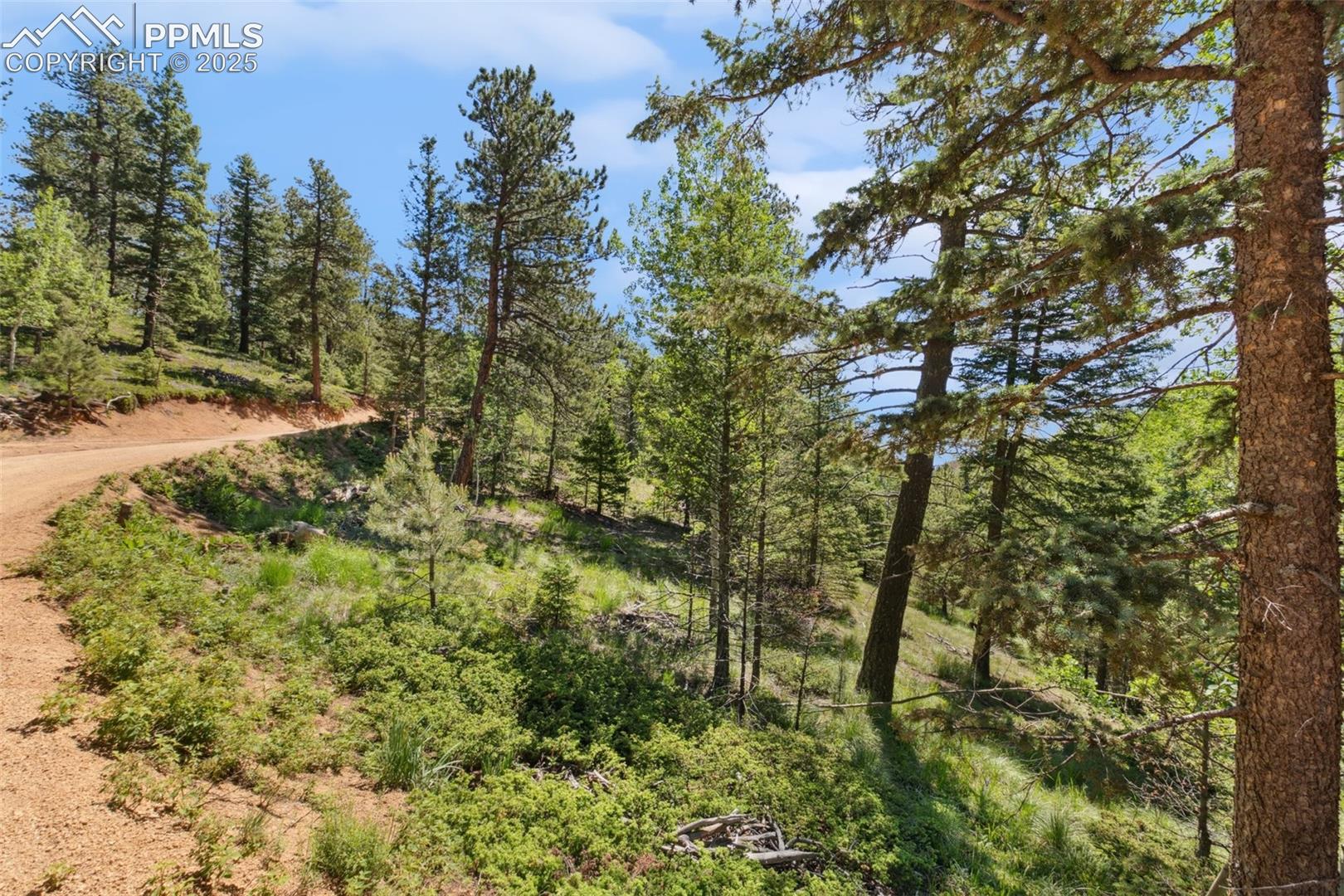 Photo 8 of 6050 Coffee Pot Road, Manitou Springs
