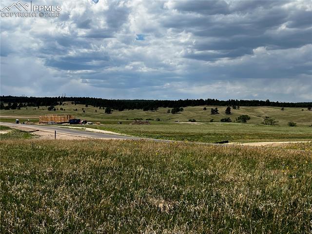 16990 Early Light Dr, Colorado Springs, CO 80908